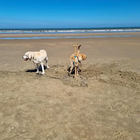 Lejlighed Kunstenaarslaan *