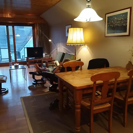 Daire Kunstenaarslaan De Panne