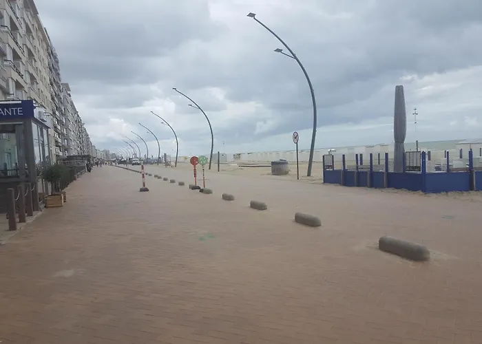 Daire Kunstenaarslaan De Panne