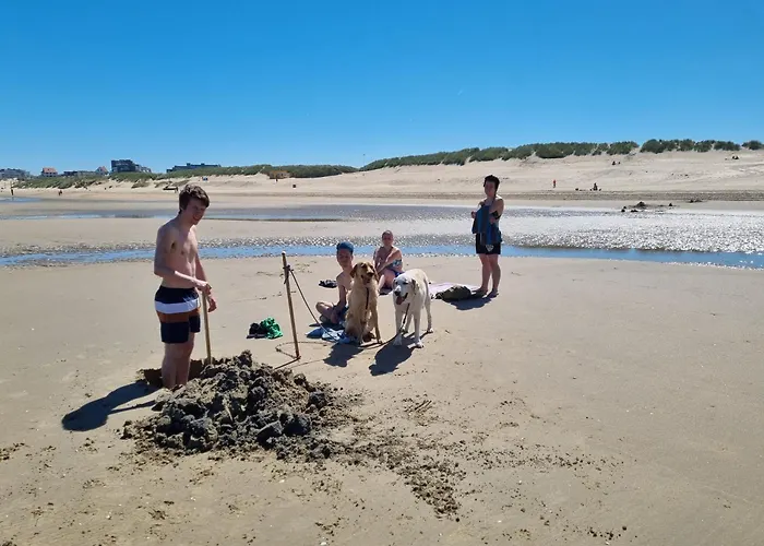 Kunstenaarslaan Daire