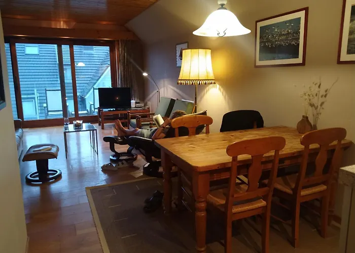 Daire Kunstenaarslaan De Panne